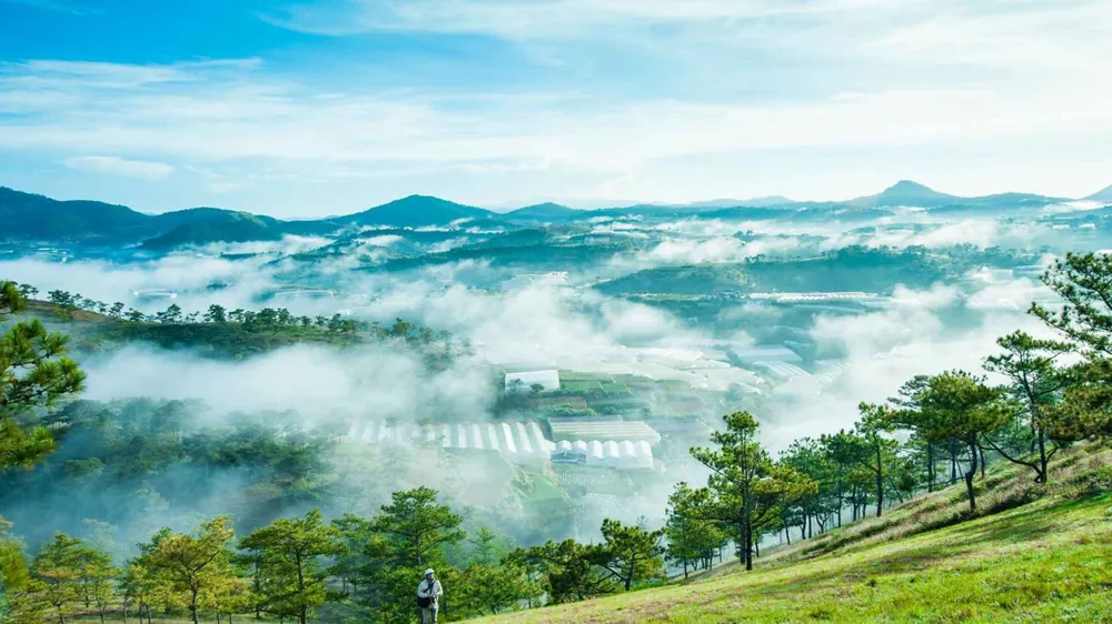 Đồi thông Đa Phú, Đà Lạt — Lâm Đồng